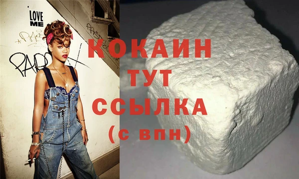 гашик Кадников