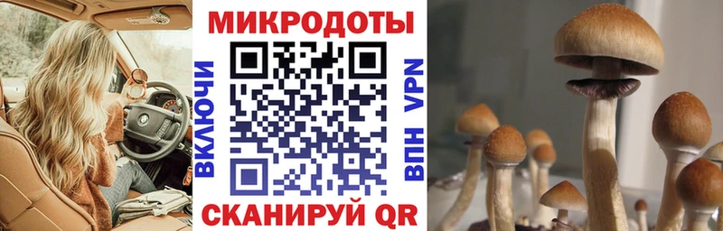 наркота  Инсар  даркнет состав  Псилоцибиновые грибы ЛСД 