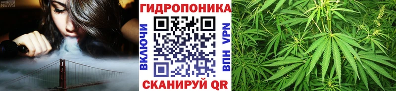 продажа наркотиков  Инсар  Каннабис ГИДРОПОН 